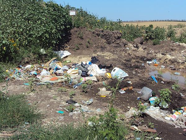Договоры на вывоз мусора в Краснодаре заключили только 63% жителей