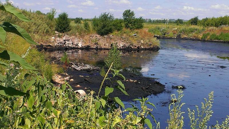 ОНФ выявил экологические нарушения в районе полигона «Зубчаниновка» в Самаре