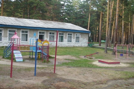 Активисты Народного фронта проинспектировали детские оздоровительные лагеря в Курганской области