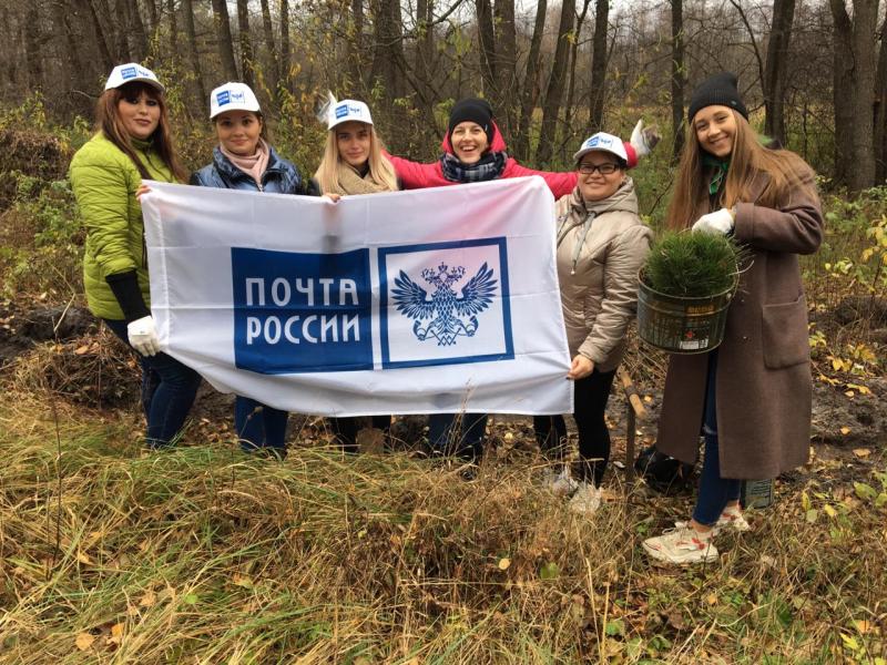 В Мордовии молодые почтовики приняли участие в посадке сосен в национальном парке «Смольный»