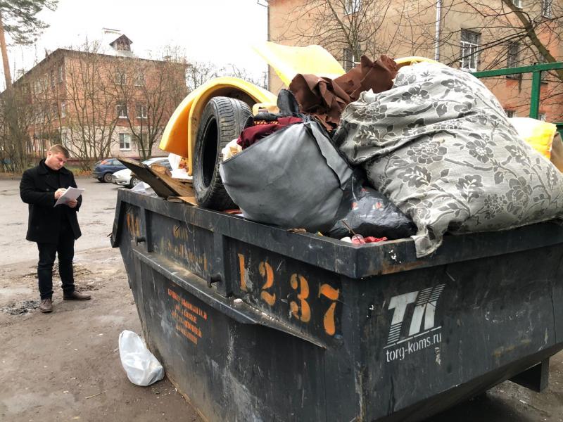 Единороссы обнаружили навалы крупногабаритного мусора на контейнерных площадках в Королёве