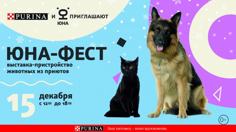 Выставка кошек и собак из приютов «Юна-Фест»: время творить чудеса!