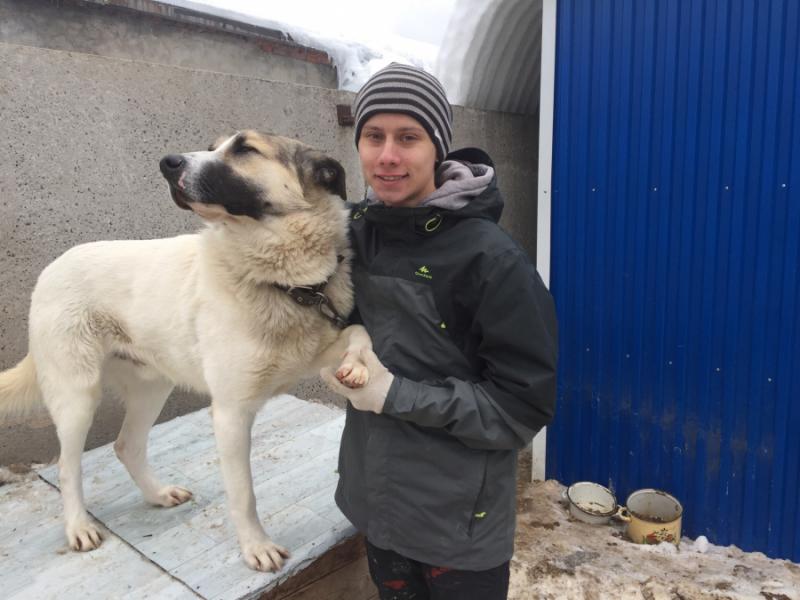 Студенты Пермского Политех посетили муниципальный приют для животных