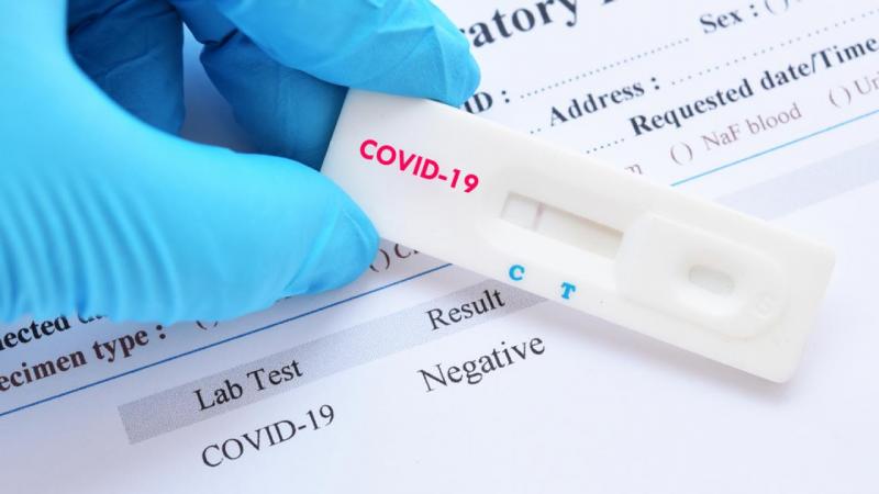 Реутовчан приглашают пройти бесплатное тестирование на антитела к COVID-19