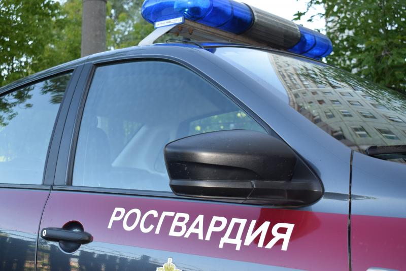 В Нижнем Новгороде росгвардейцы задержали подозреваемого в краже аккумуляторной батареи из магазина