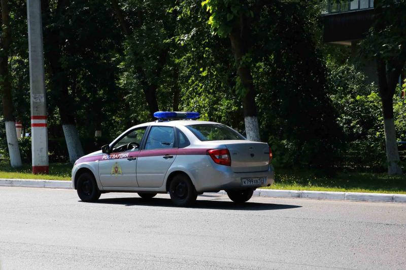 В Темниковском районе Республики Мордовия росгвардейцы оказали содействие сотрудникам ДПС в задержании пьяного водителя