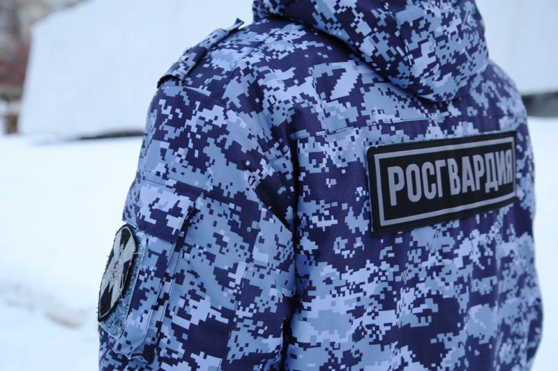 В Республике Мордовия росгвардейцы задержали двух граждан, подозреваемых в хищении