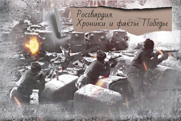Росгвардия вспоминает о подвиге войск НКВД в Сталинградской битве