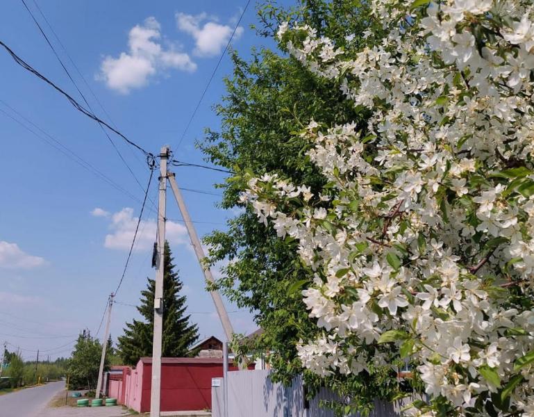 «Россети Тюмень» направили более 18 млн рублей на ремонт линий электропередачи в Тюменском районе
