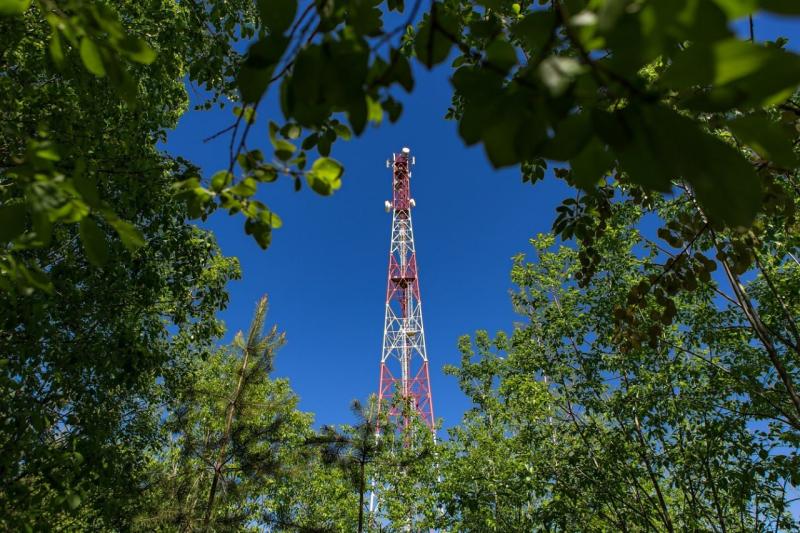 В деревни Новгородчины пришел 4G интернет от МегаФона
