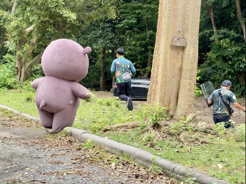 В костюме бегемота: зоопарк в Таиланде креативно отработал побег животного