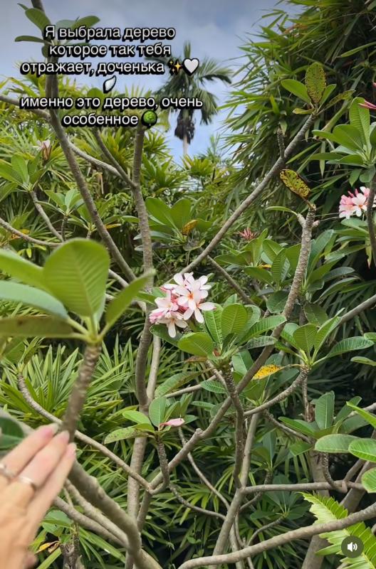 Церемония посадки дерева в честь Саши